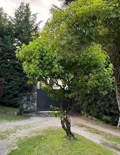 Nyaraló Charming Giancarla *